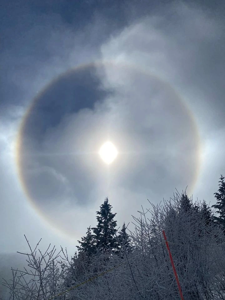 Dr. Clark saw something yesterday at Bogus Basin while skiing that he’s never seen before.